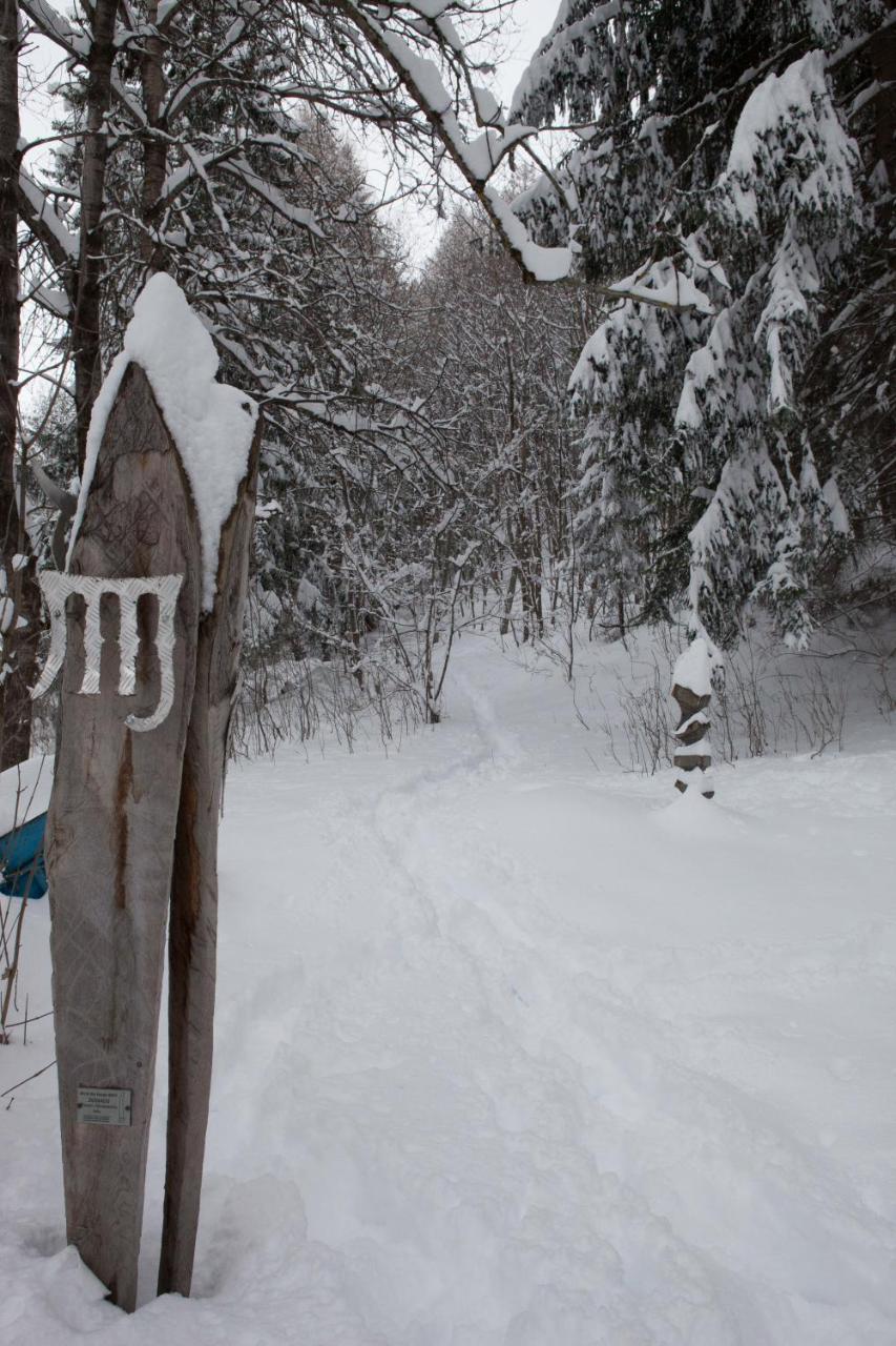 Etoile Des Neiges Hotel Oulx Екстериор снимка